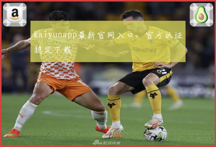 kaiyunapp最新官网入口，官方认证稳定下载