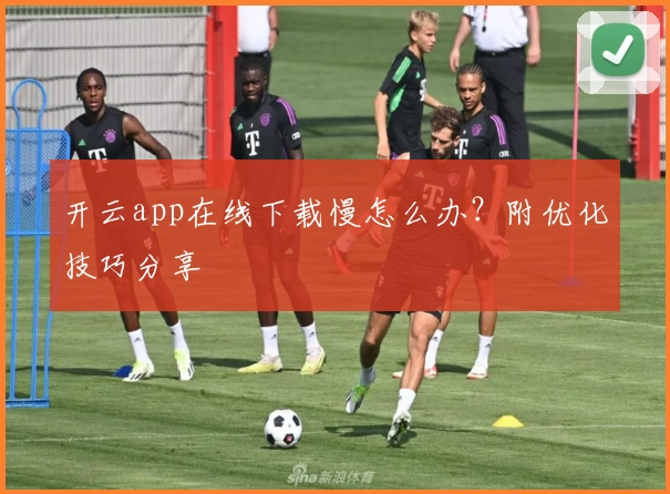 开云app在线下载慢怎么办？附优化技巧分享