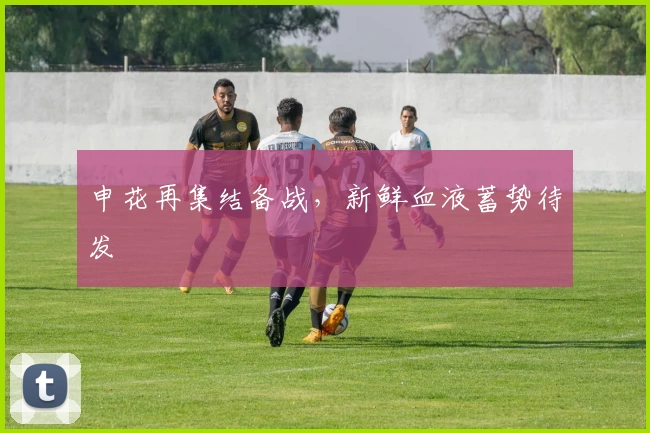 申花再集结备战,新鲜血液蓄势待发