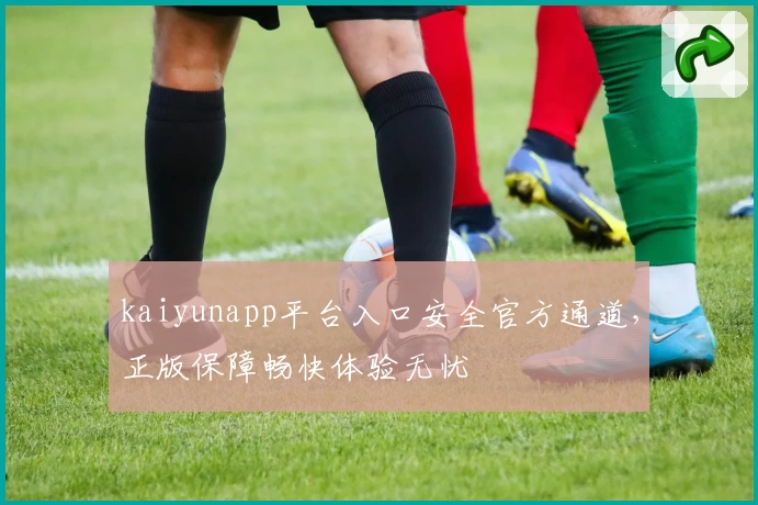 kaiyunapp平台入口安全官方通道，正版保障畅快体验无忧
