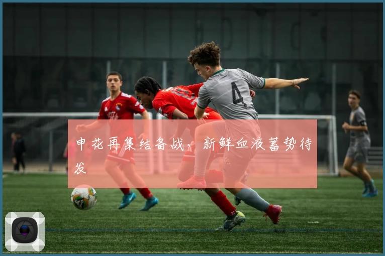 申花再集结备战,新鲜血液蓄势待发